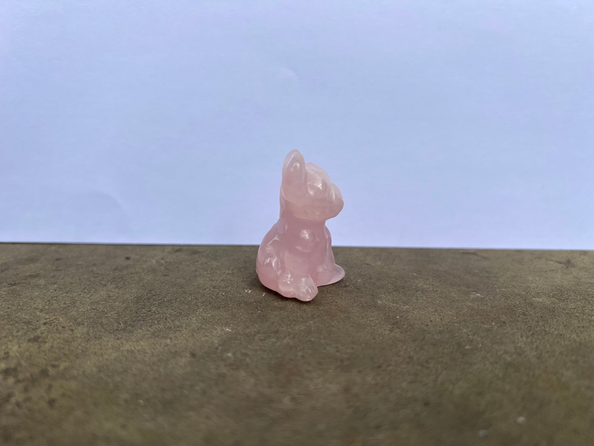 Rose Quartz French Bulldog image 3