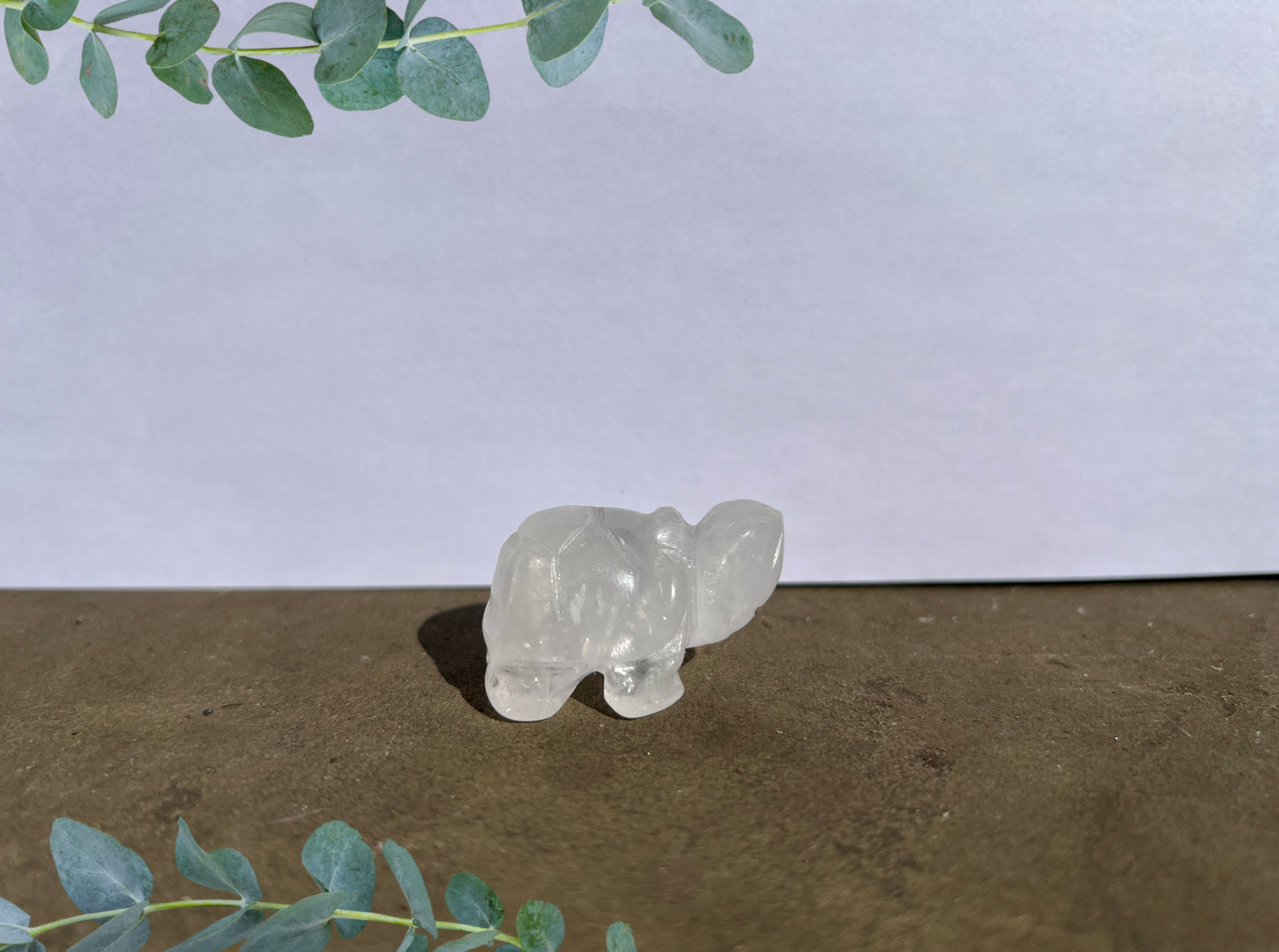 Clear Quartz Turtle image 0