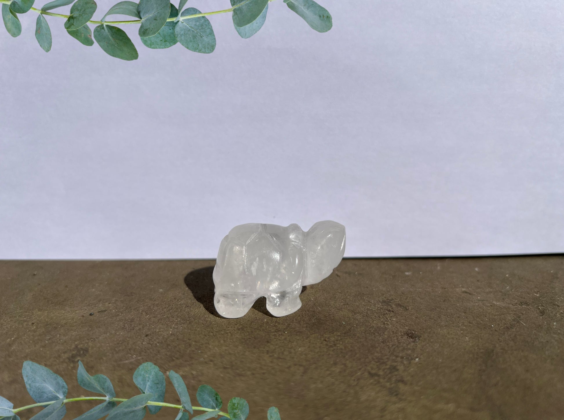 Clear Quartz Turtle image 0
