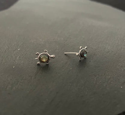 Paua Shell Turtle Studs image 1