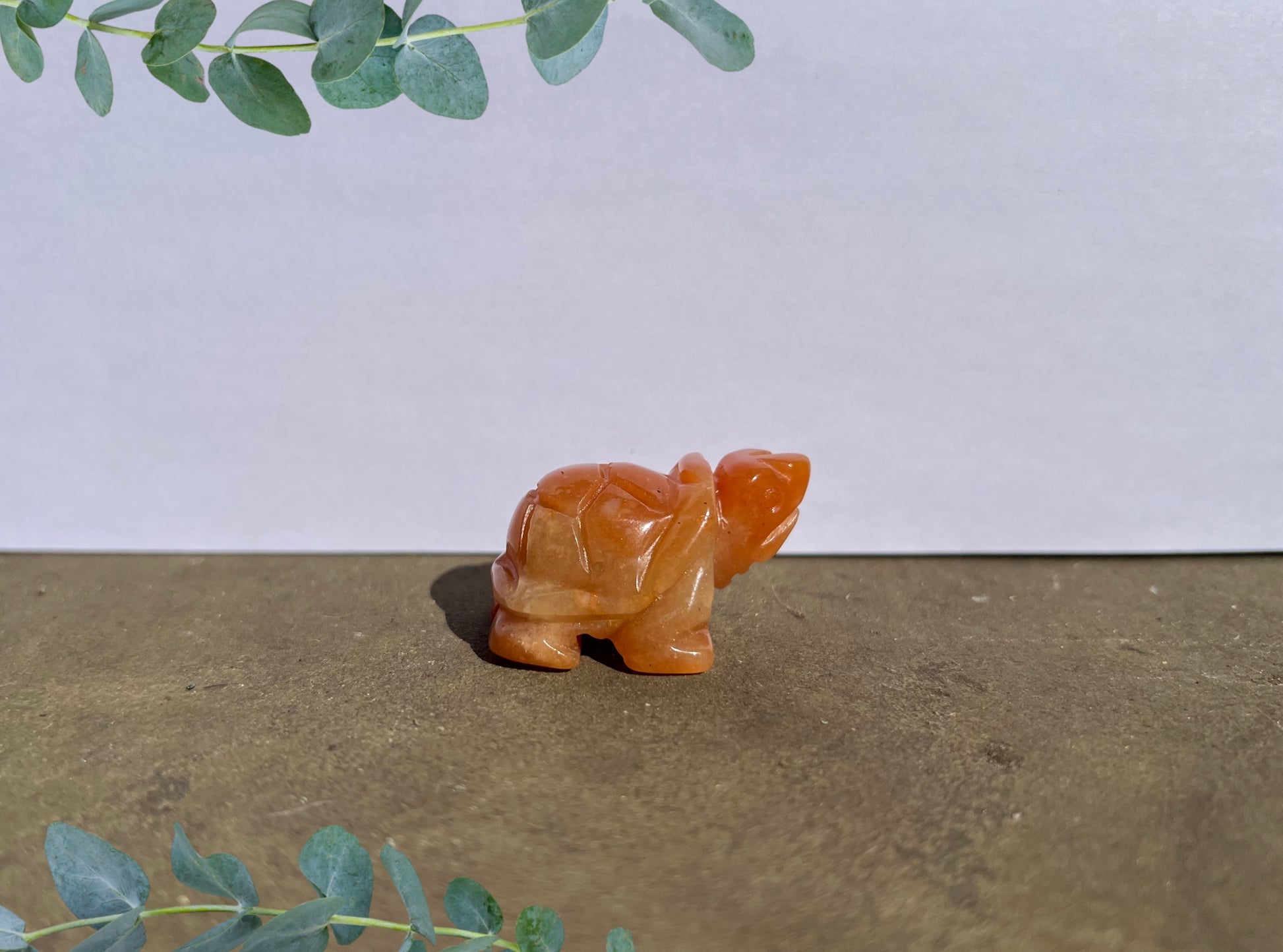 Carnelian Turtle image 0