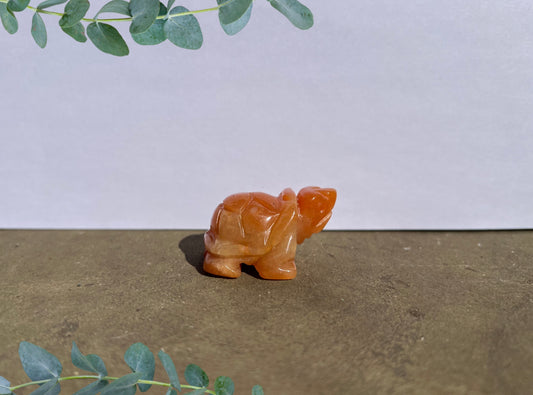 Carnelian Turtle image 0
