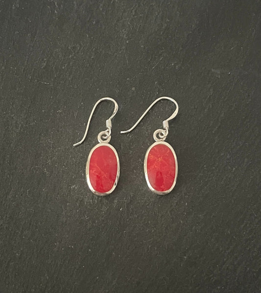 Coral Oval Earrings image 0