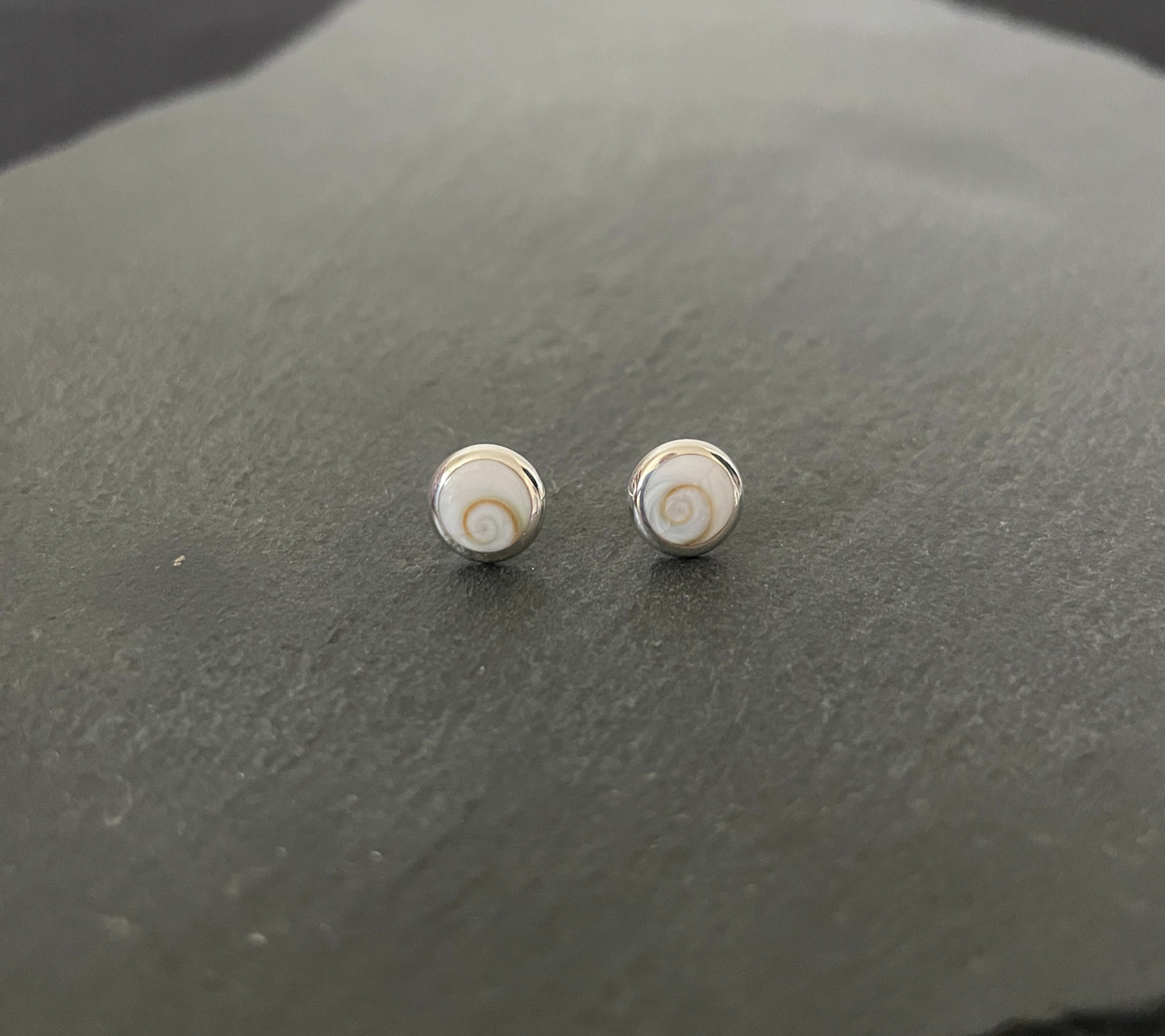 Shiva Shell Round Stud Earrings image 0