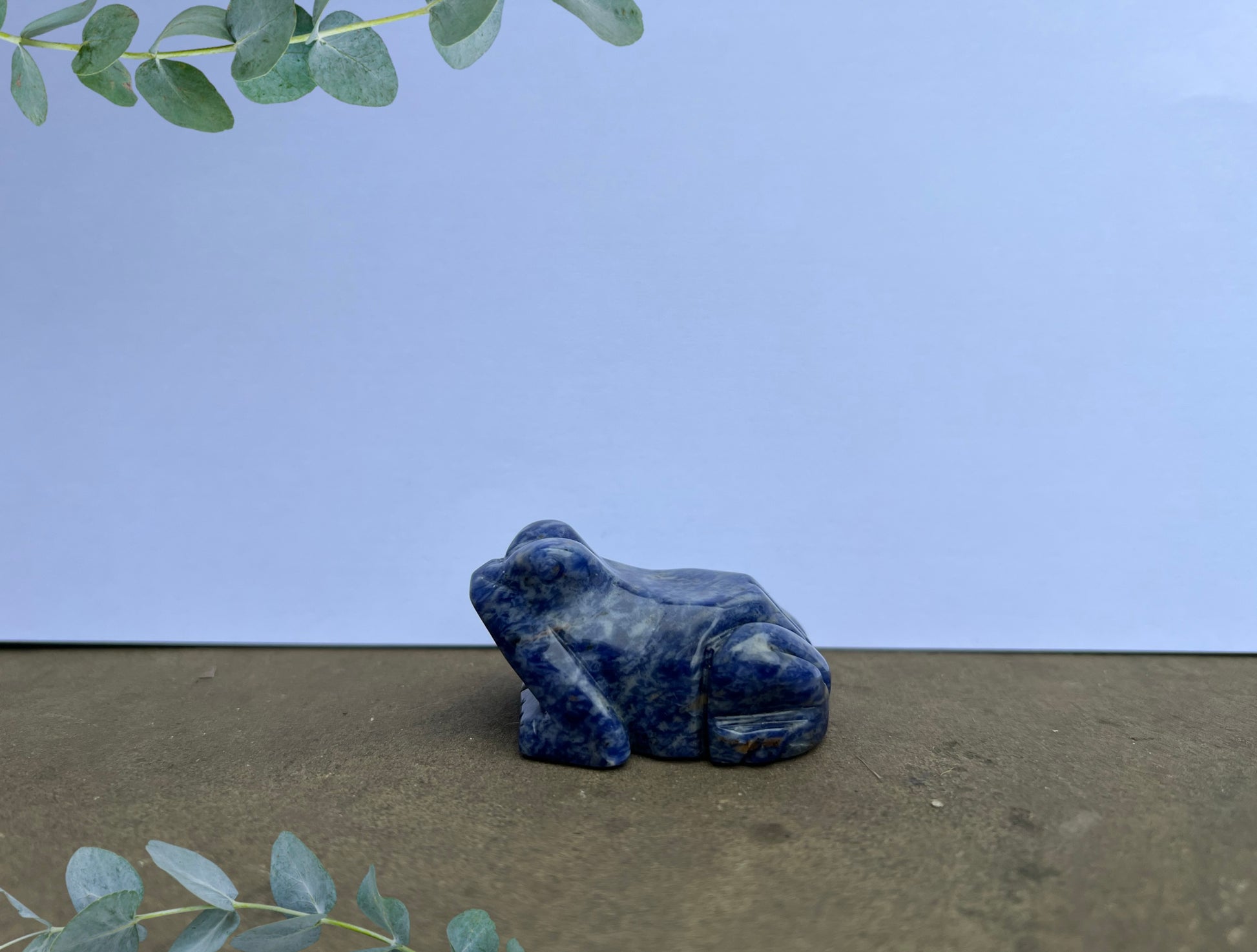 Sodalite Frog image 0