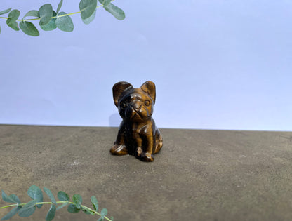 Tiger's Eye French Bulldog image 0