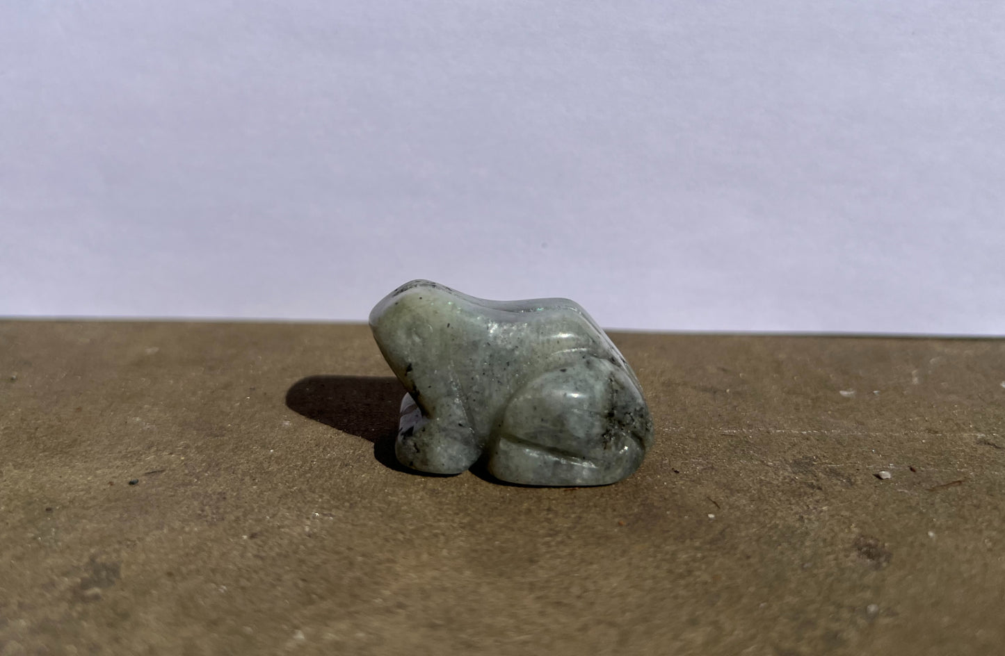 Labradorite Frog image 3