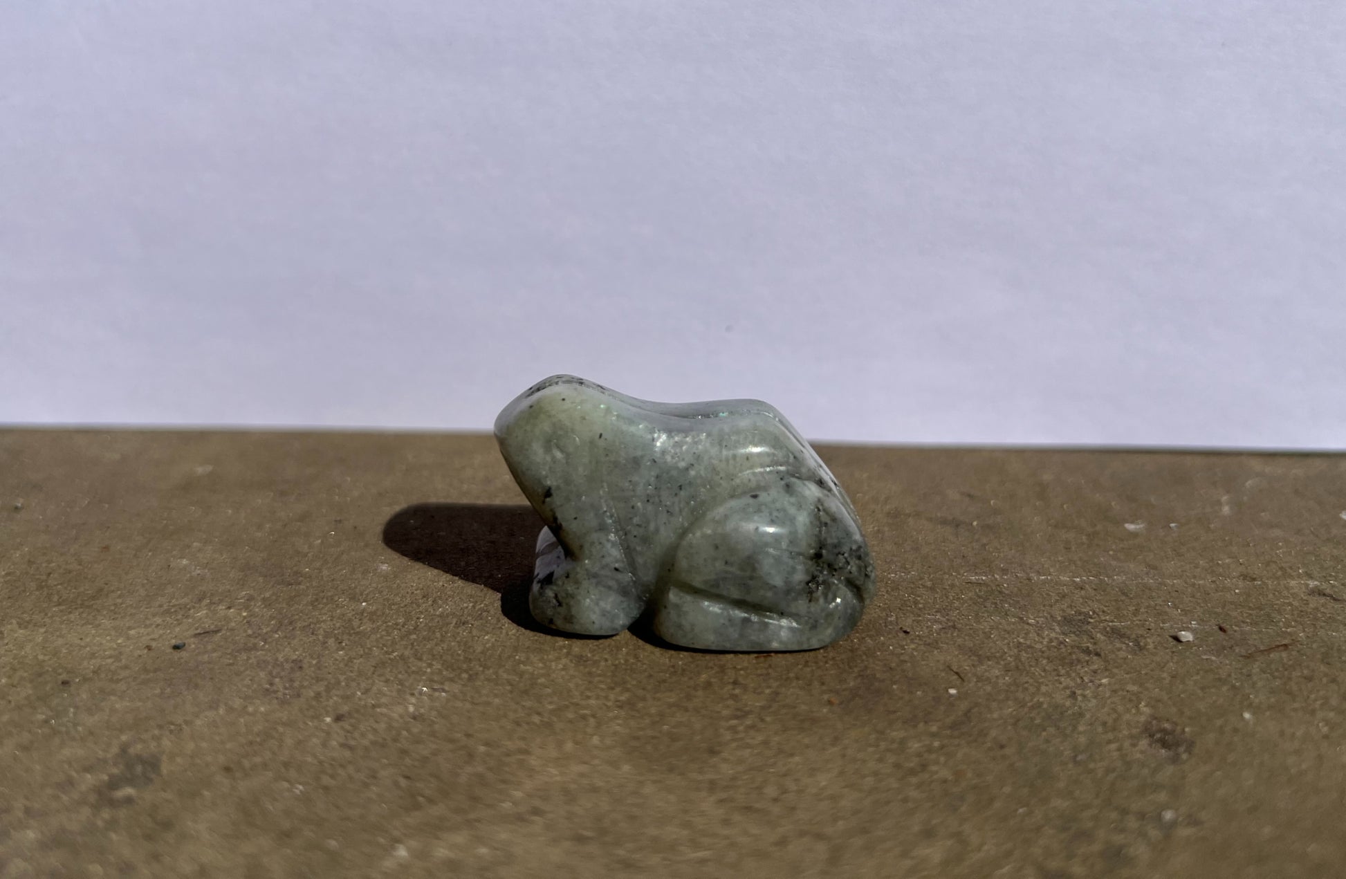 Labradorite Frog image 3