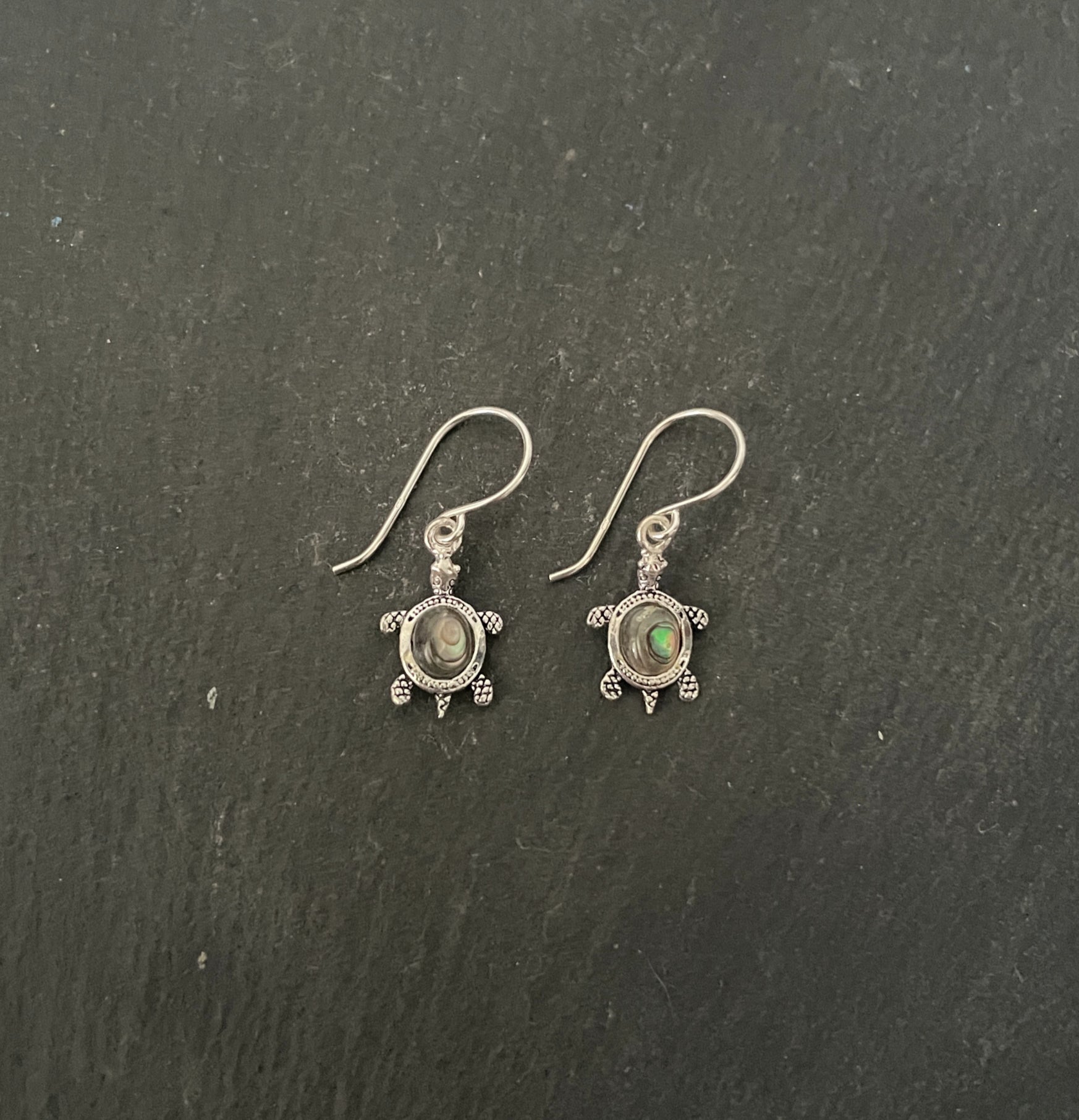 Paua Shell Turtle Earrings image 0