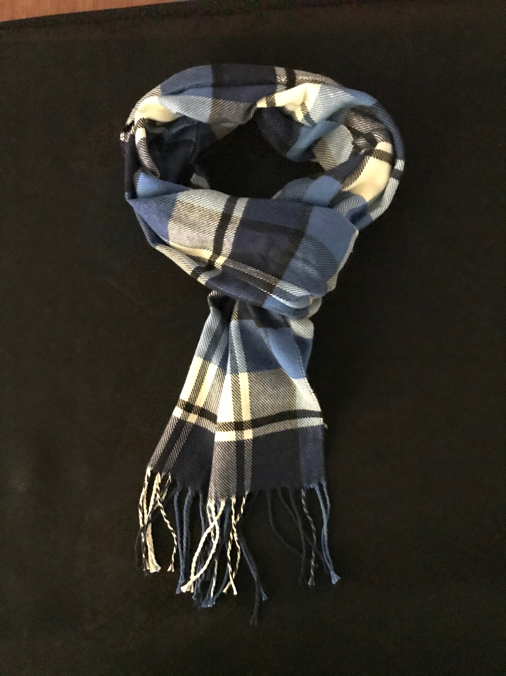 Blue and Cream Scarf image 0