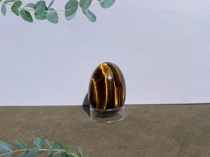 Tiger's Eye Egg image 0