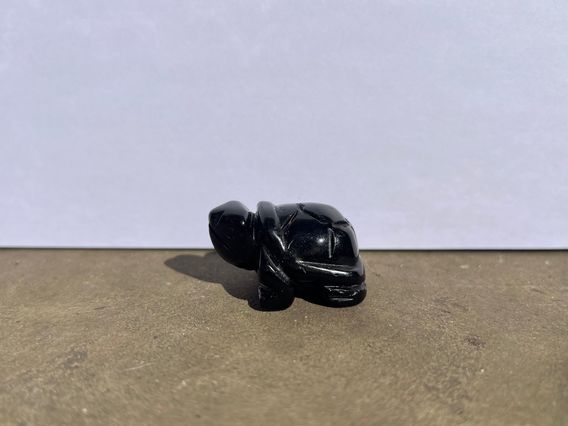 Black Obsidian Turtle image 1