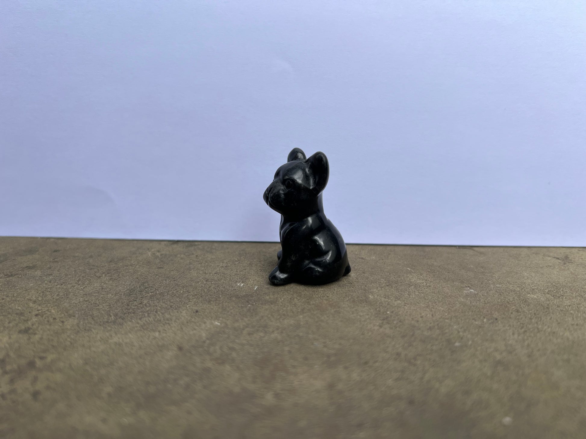 Black Obsidian French Bulldog image 3