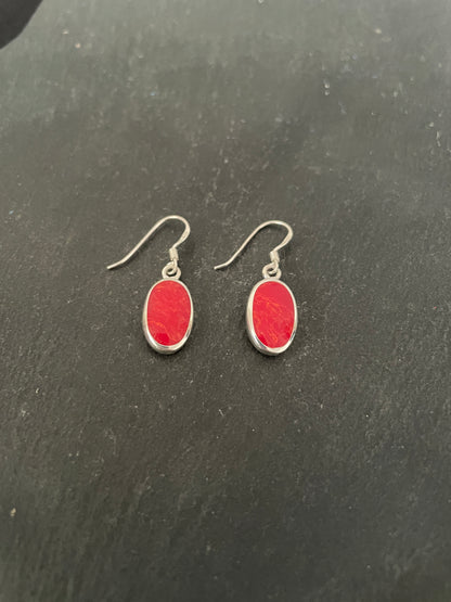 Coral Oval Earrings