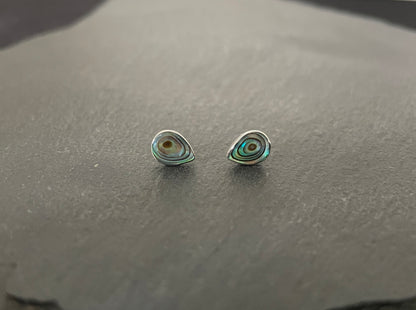 Paua Shell Teardrop Studs