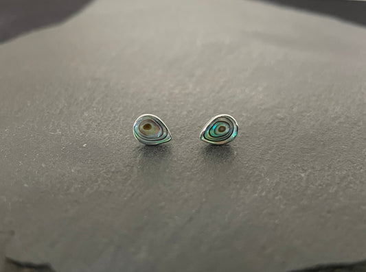 Paua Shell Teardrop Studs