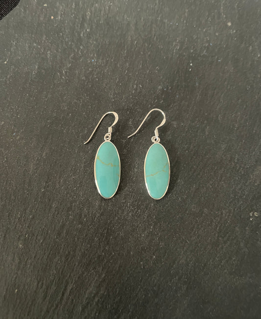 Oval Turquoise Earrings