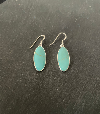 Oval Turquoise Earrings