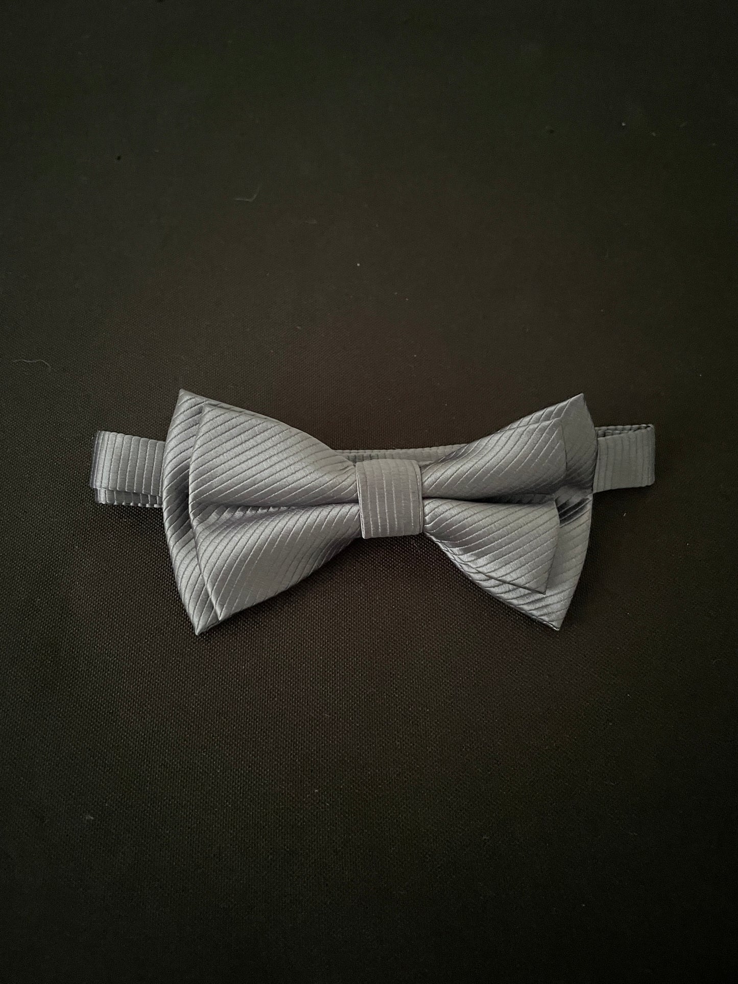 Silver Bow Tie image 0