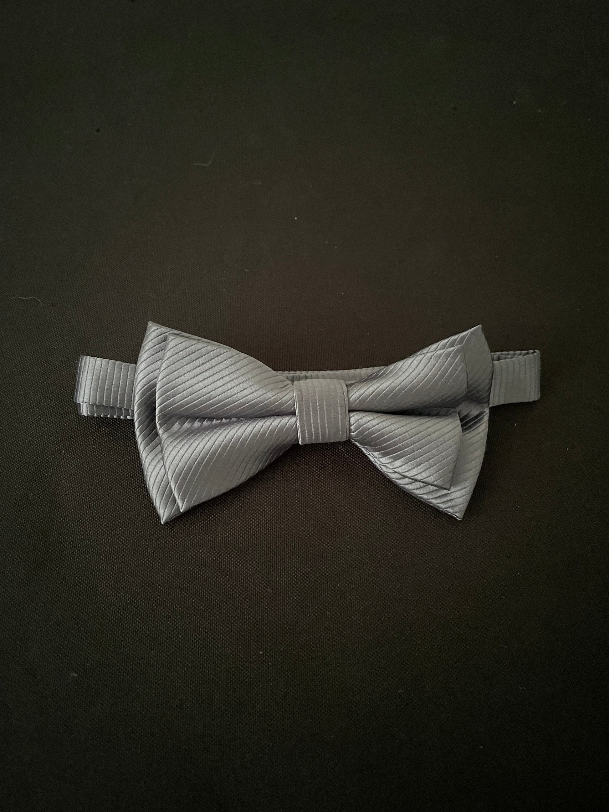 Silver Bow Tie image 0