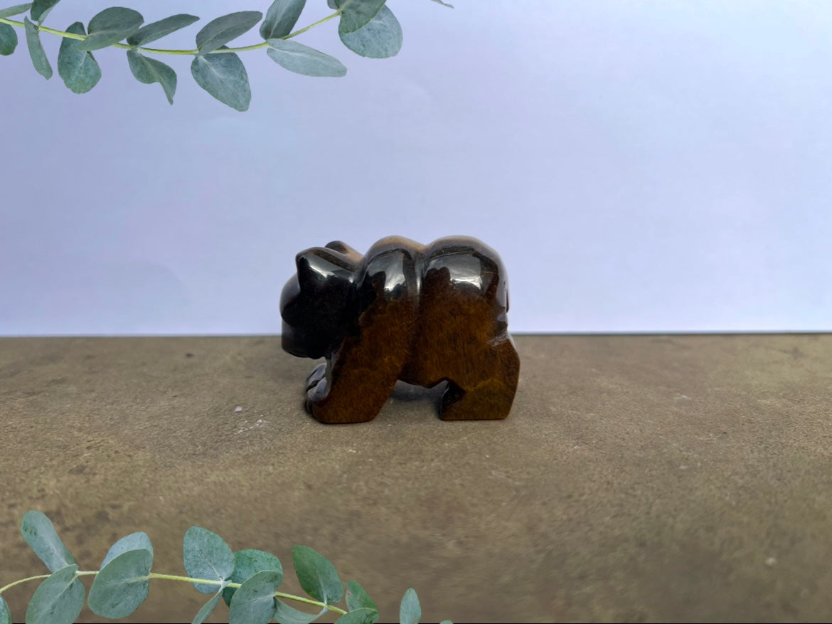 Tiger's Eye Polar Bear image 0
