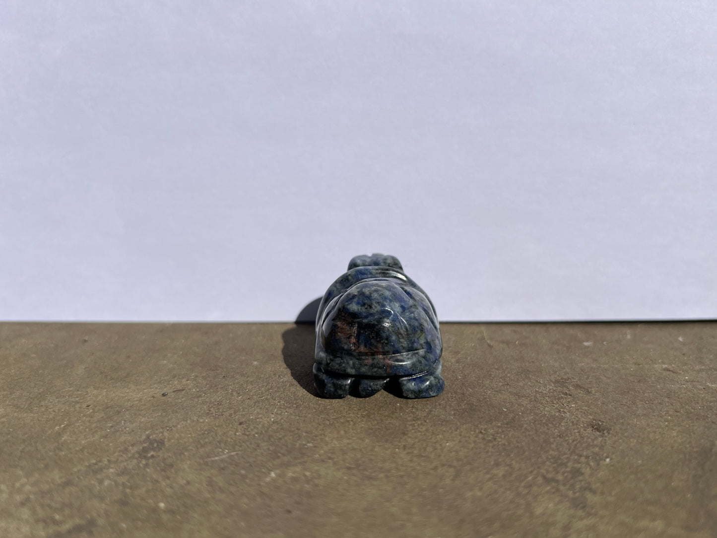 Sodalite Turtle image 1