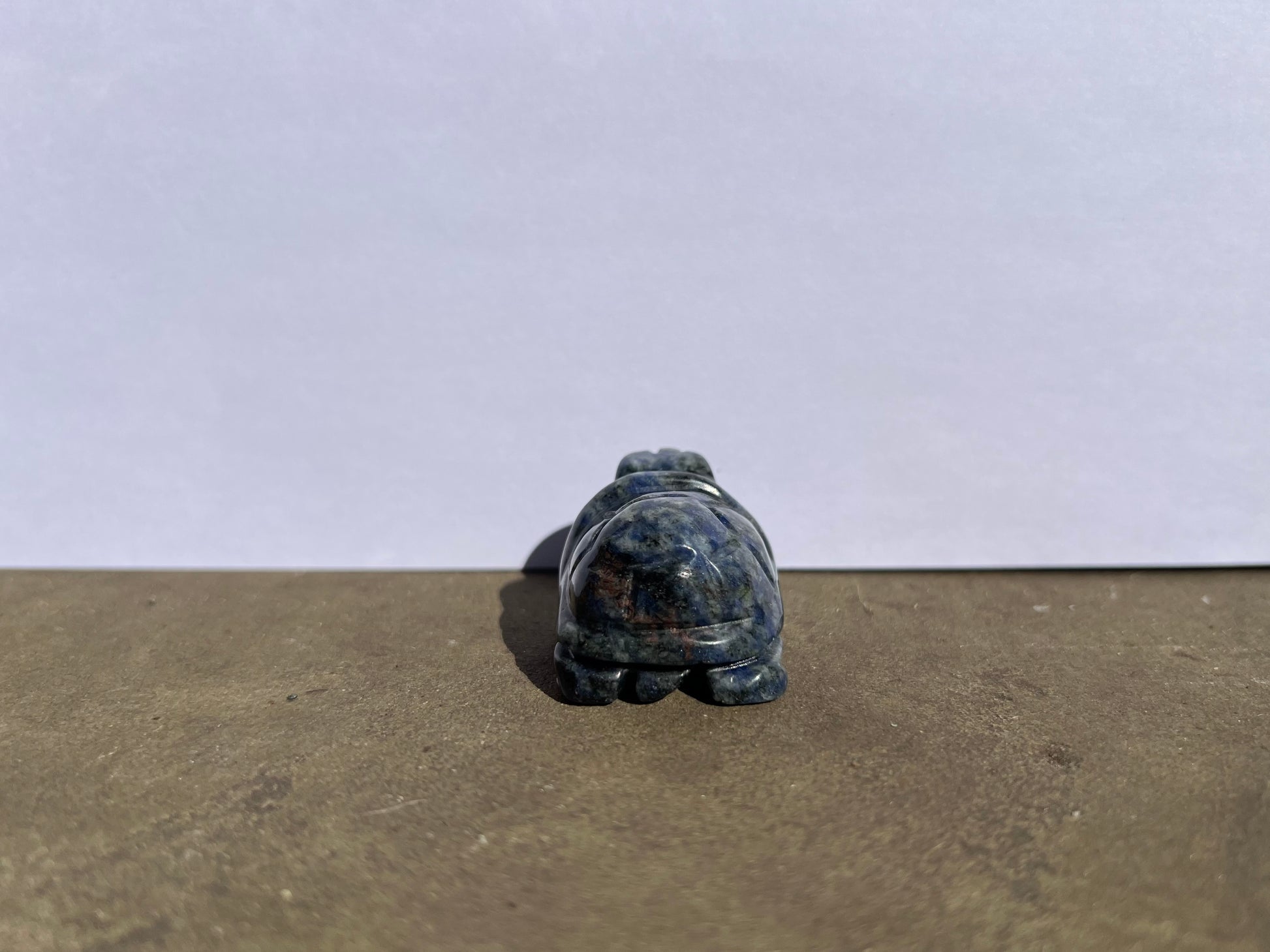 Sodalite Turtle image 1