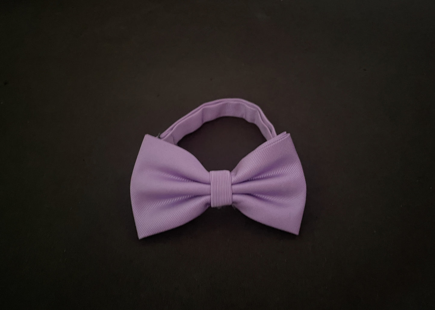 Purple Bow Tie image 1