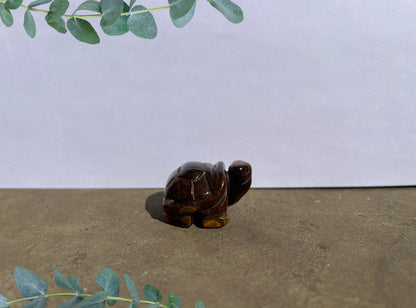 Tiger's Eye Turtle image 0
