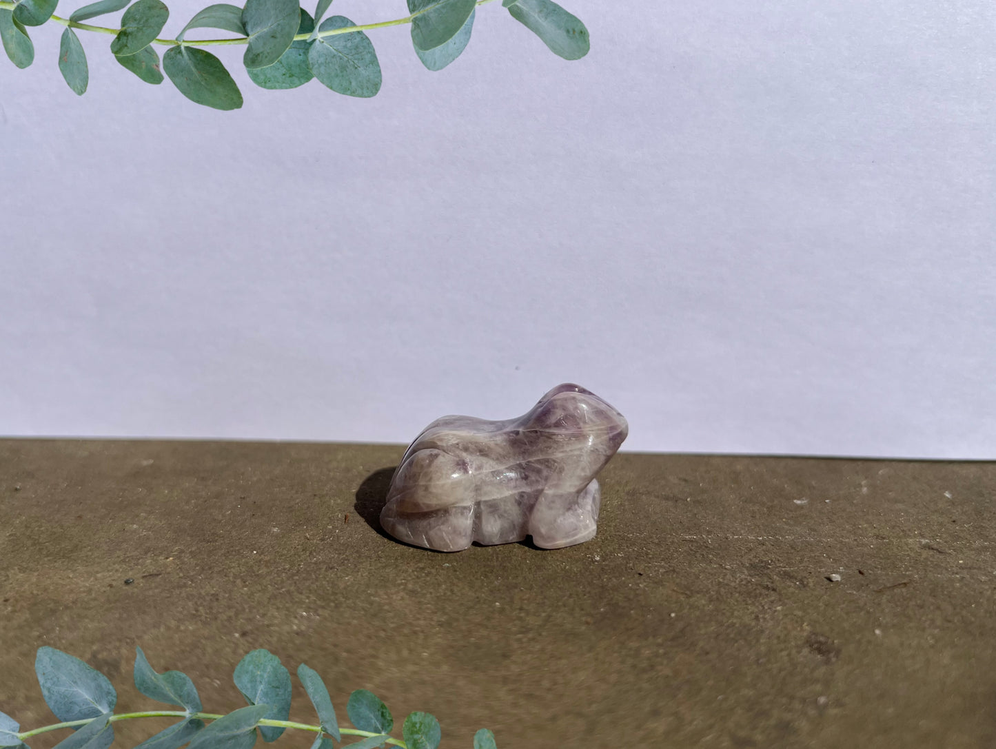 Amethyst Frog image 0