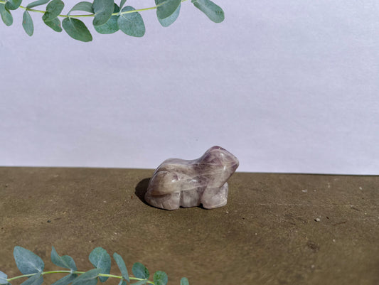 Amethyst Frog image 0