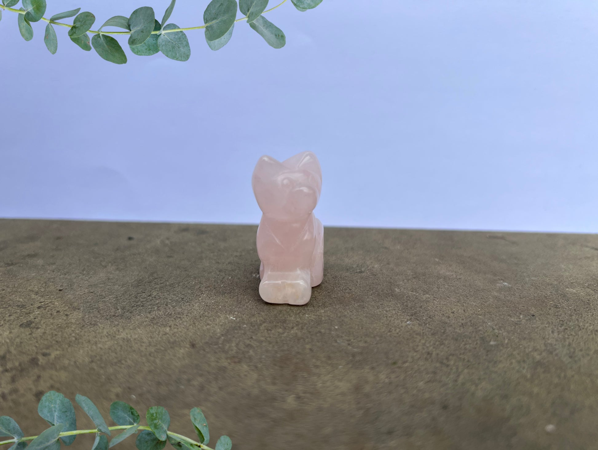 Rose Quartz Cat image 0