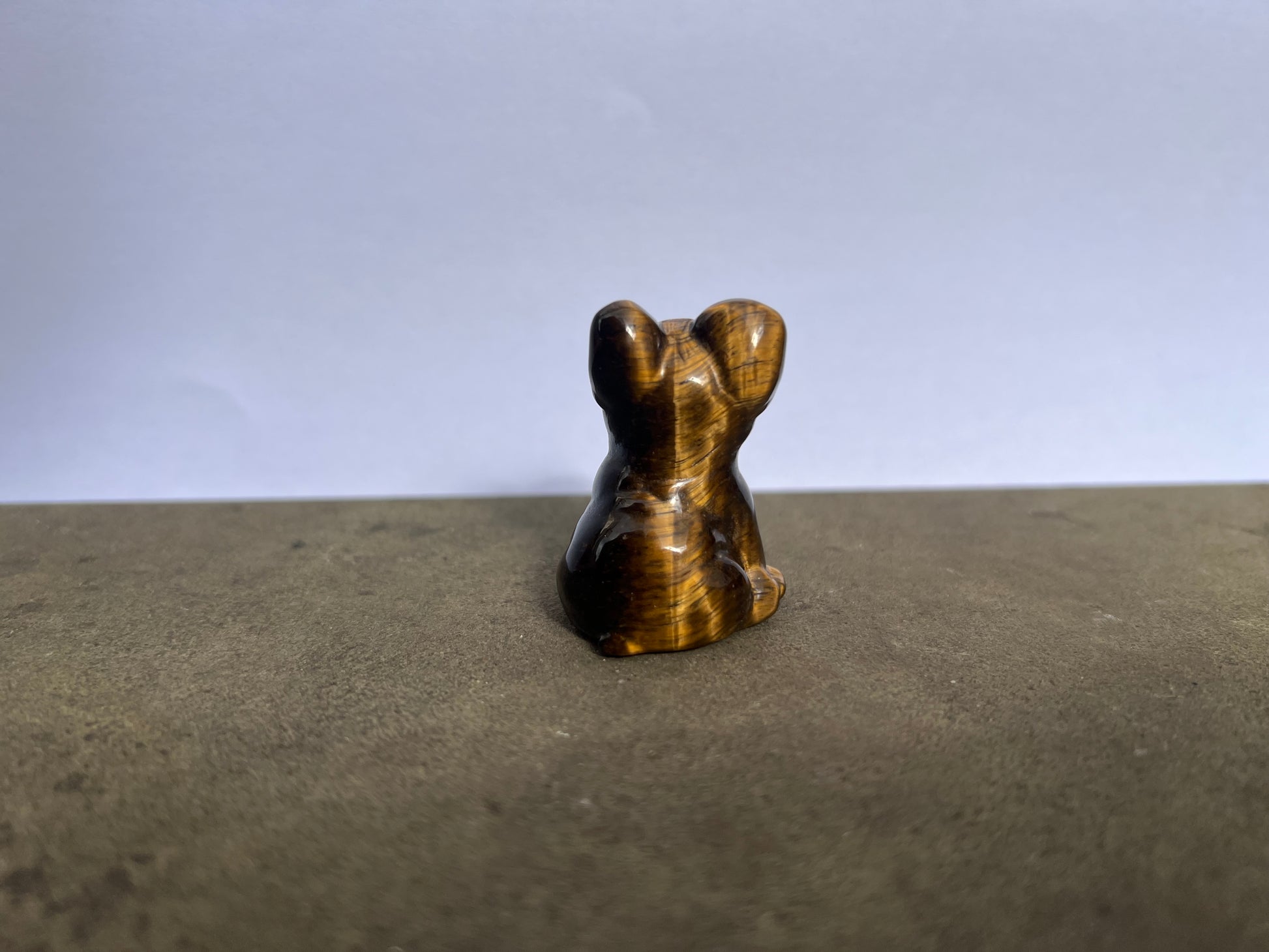 Tiger's Eye French Bulldog image 2