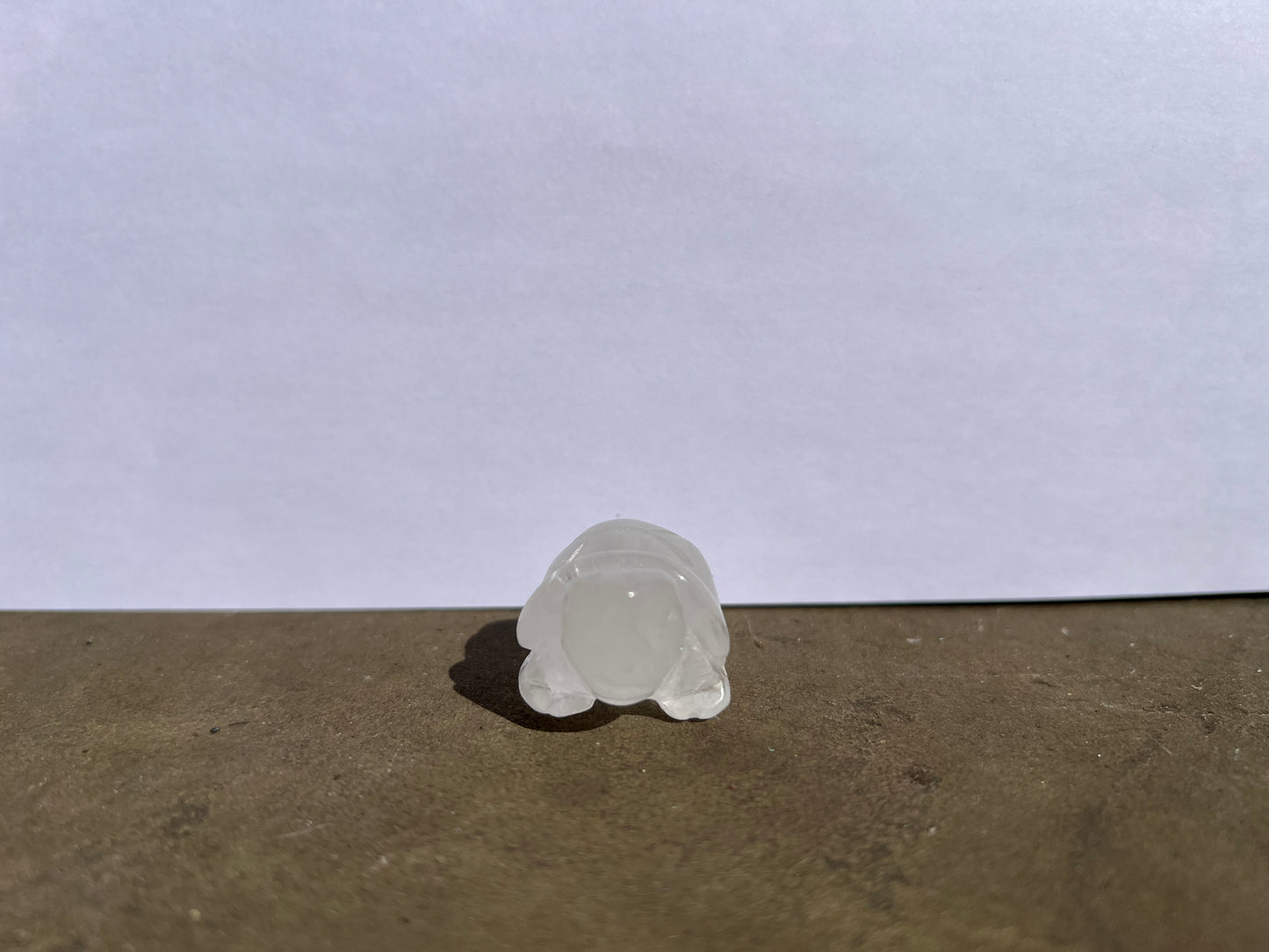 Clear Quartz Turtle image 3