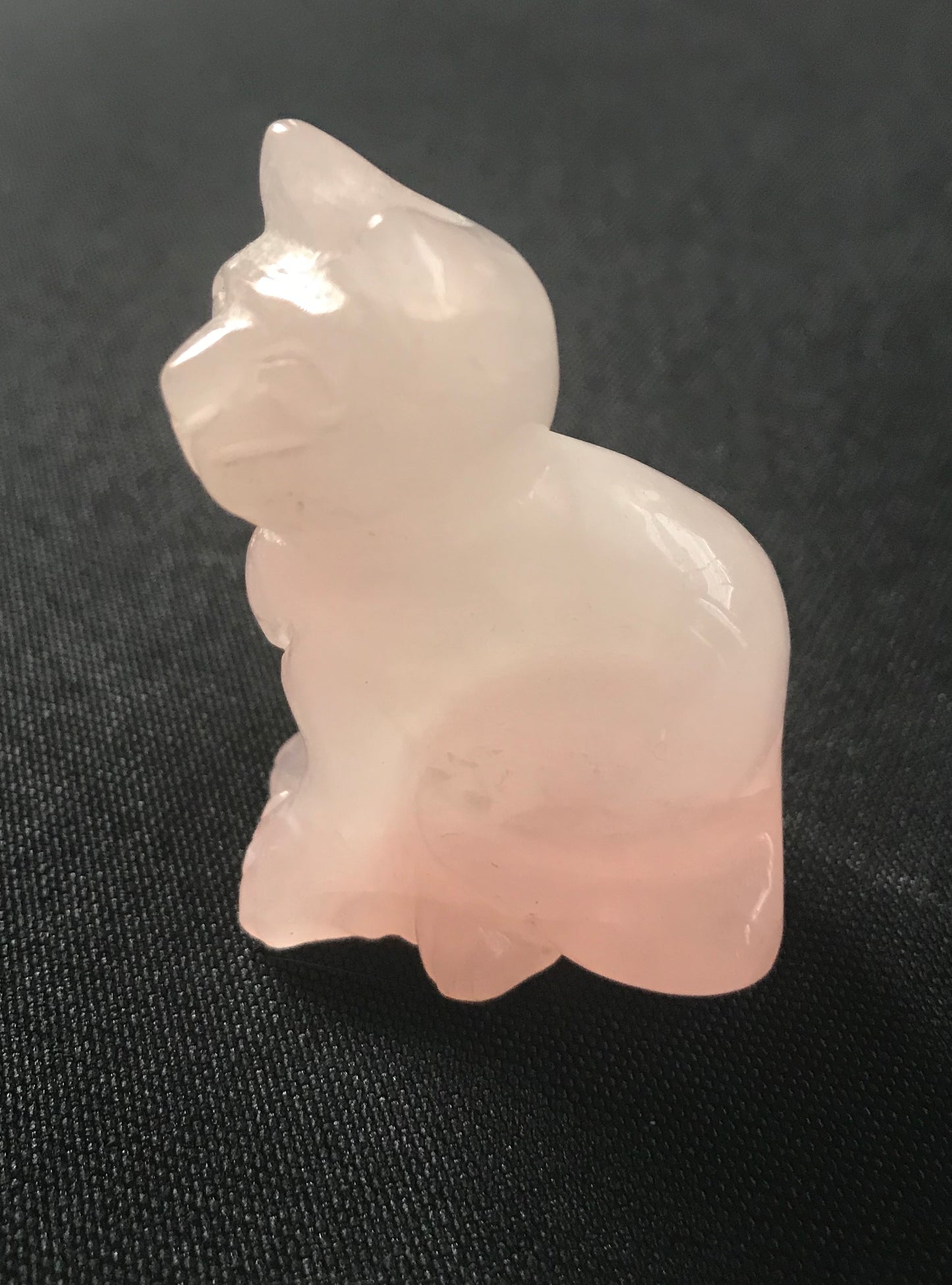 Rose Quartz Cat image 2