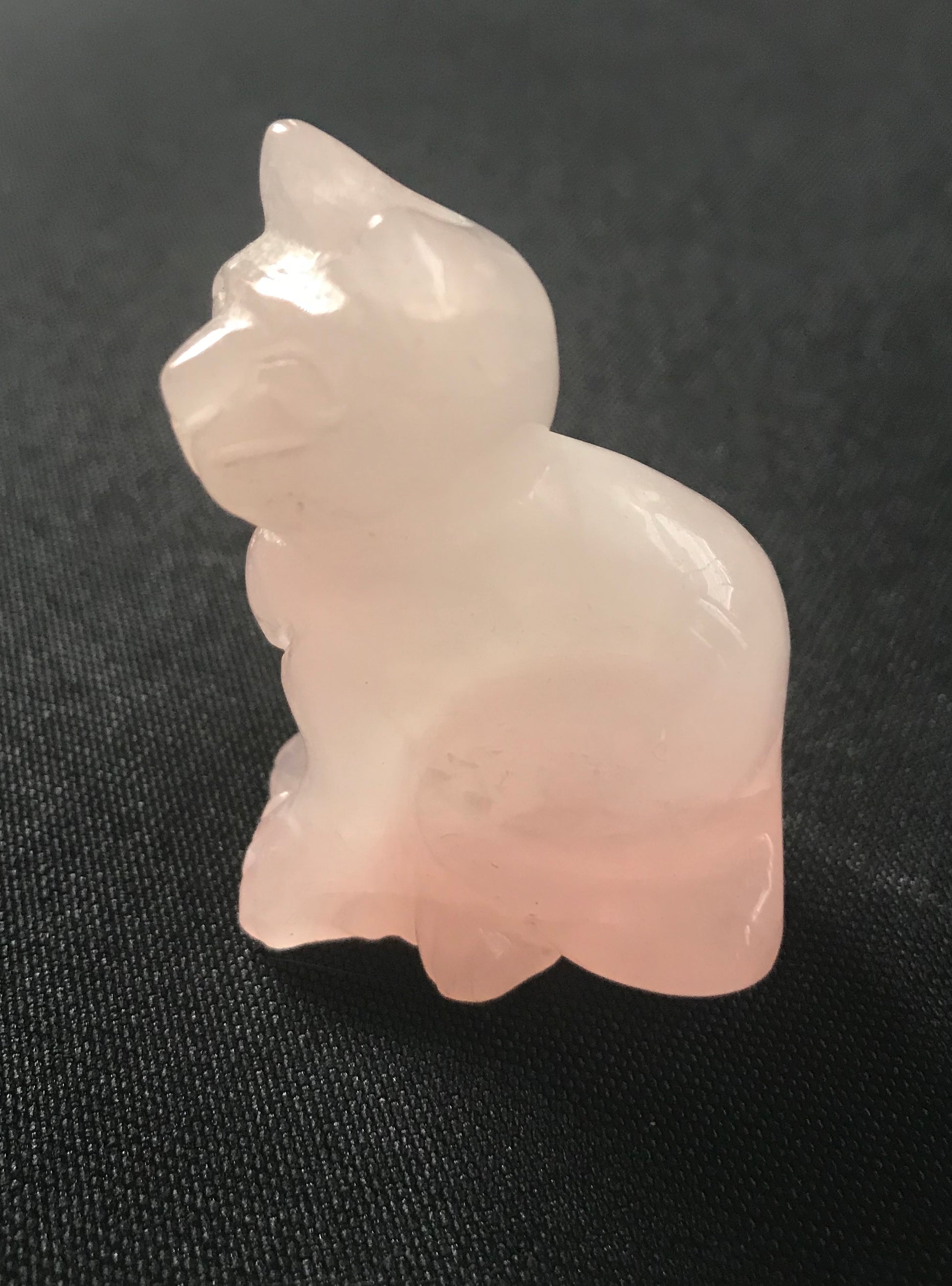Rose Quartz Cat image 2