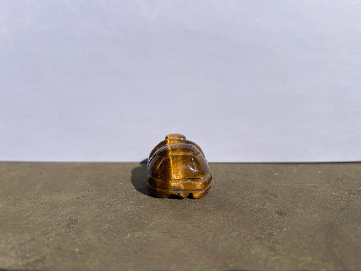 Tiger's Eye Turtle image 3
