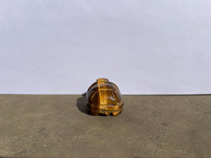 Tiger's Eye Turtle image 3