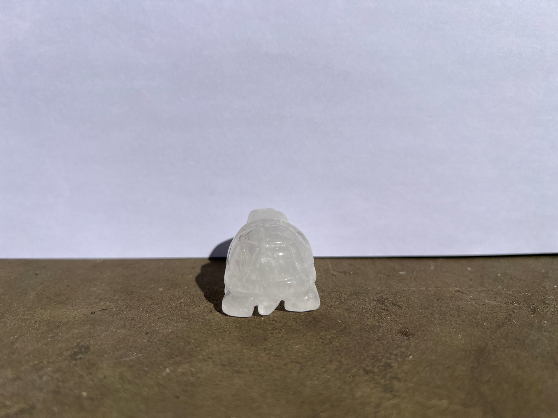 Clear Quartz Turtle image 1