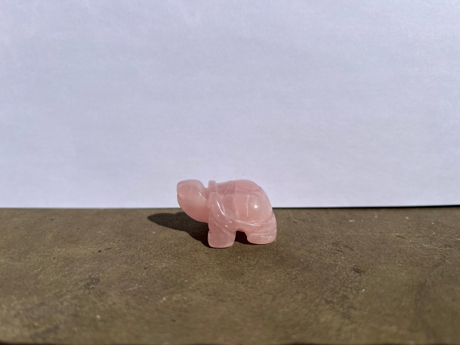 Rose Quartz Turtle image 3