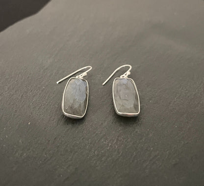 Labradorite Rectangle Earrings image 1