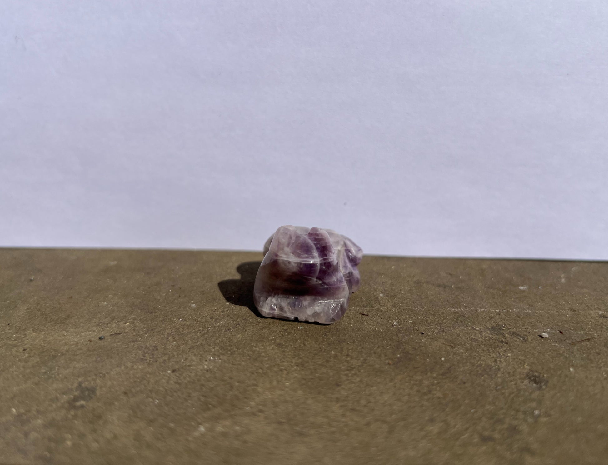 Amethyst Frog image 2
