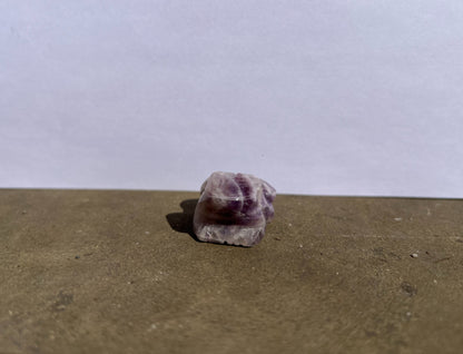Amethyst Frog image 2