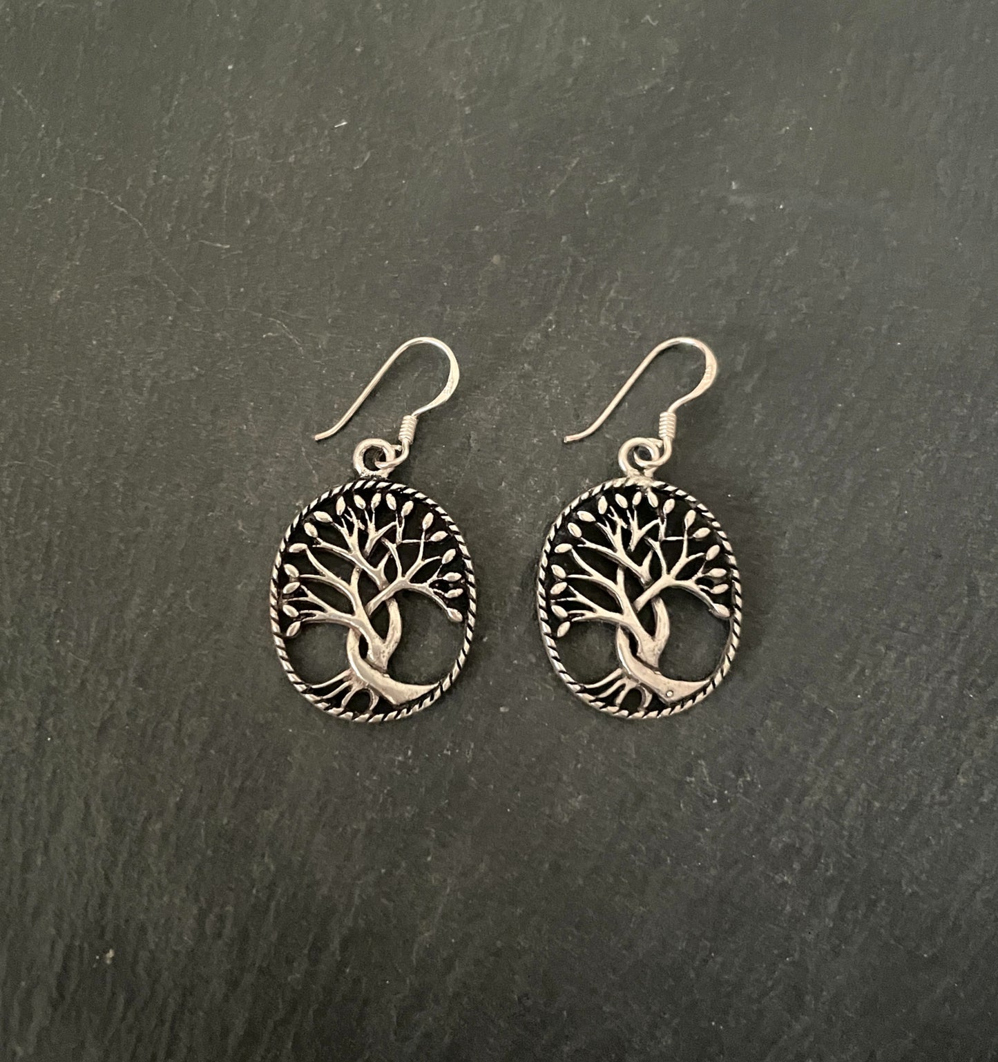 Oval Silver Tree Earrings image 0