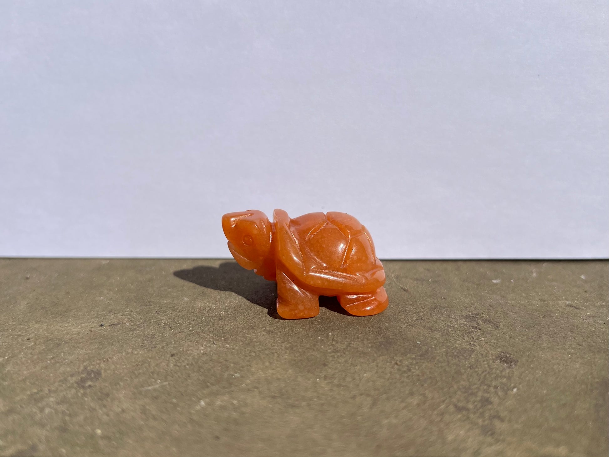 Carnelian Turtle image 1