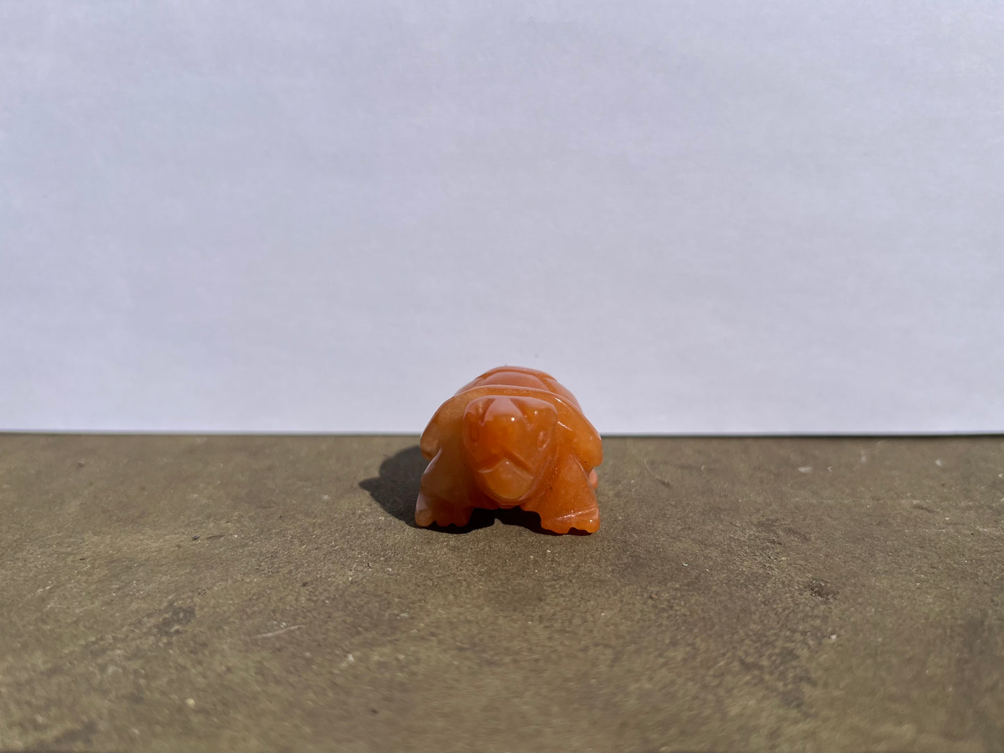 Carnelian Turtle image 3