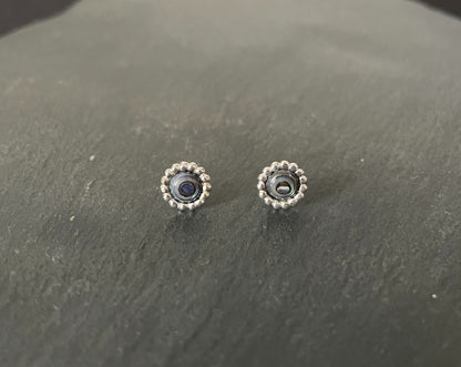 Paua Shell Round Studs image 0