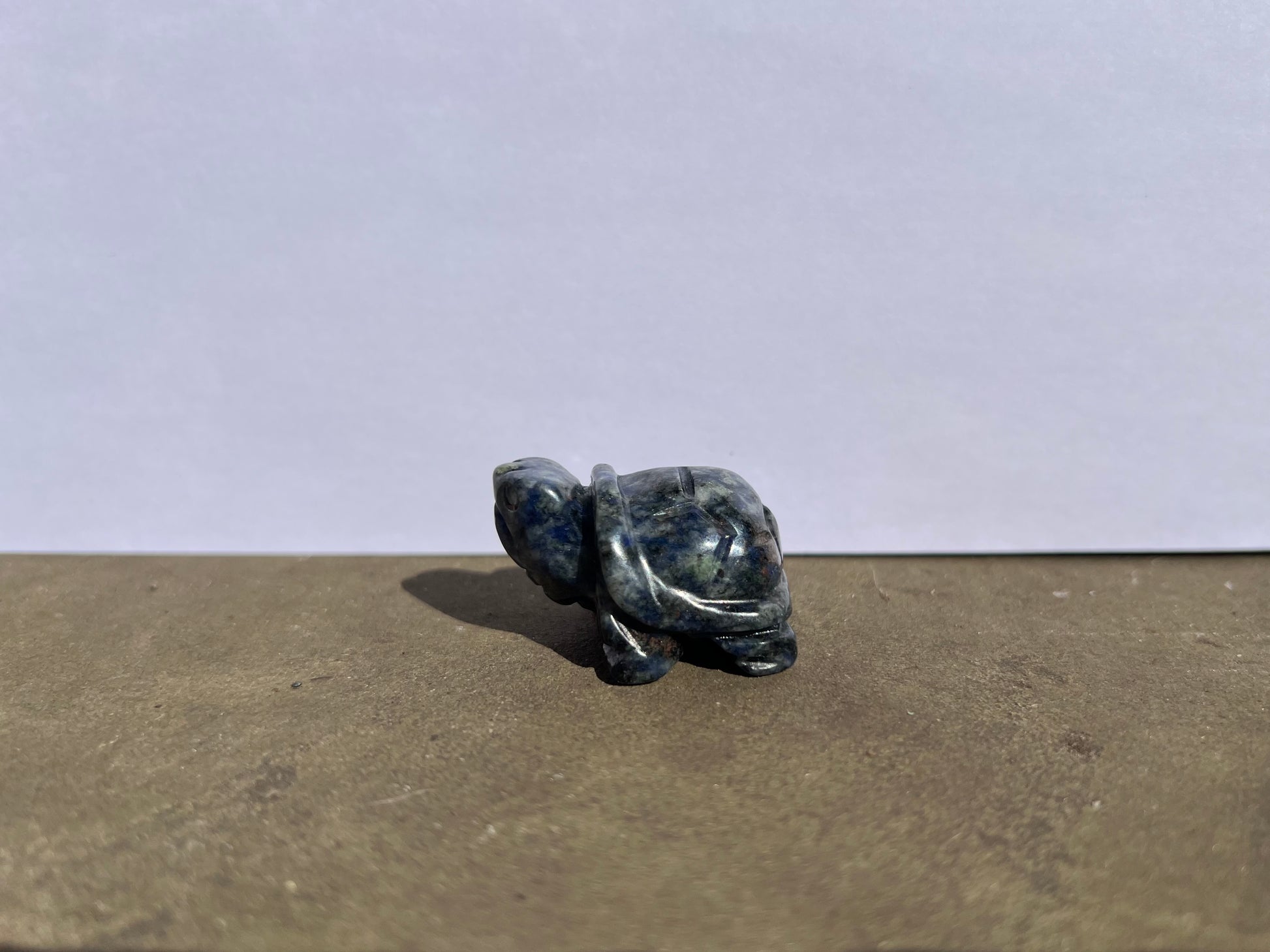 Sodalite Turtle image 3