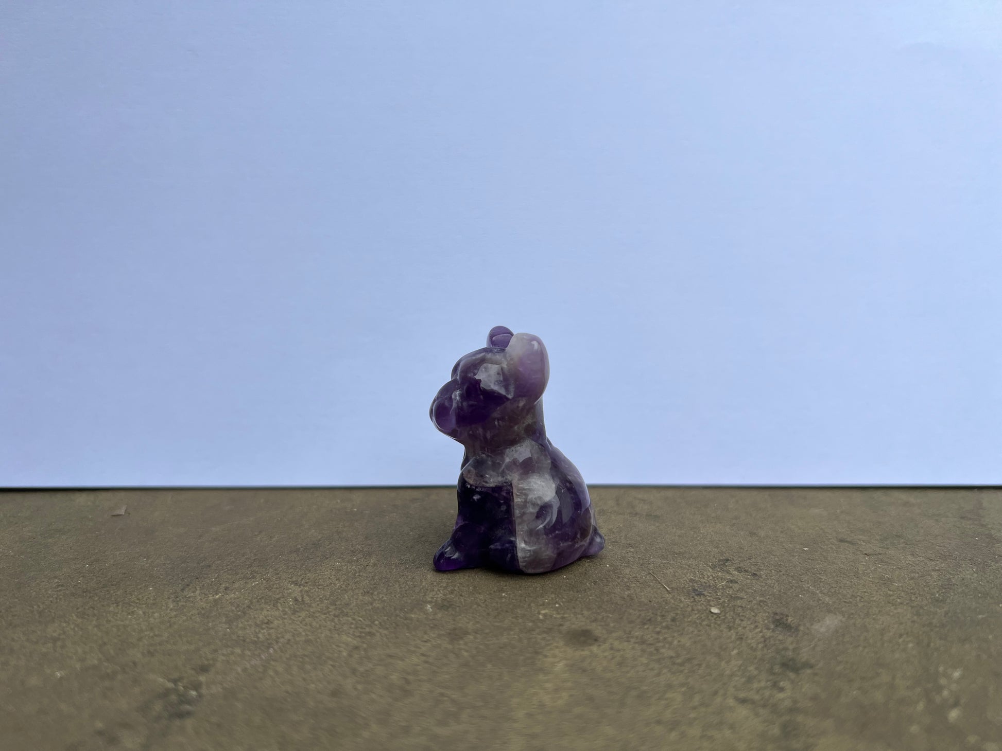 Amethyst French Bulldog image 3