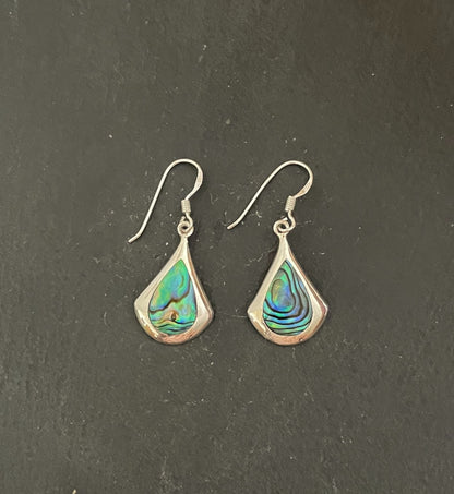 Paua Shell Earrings image 0